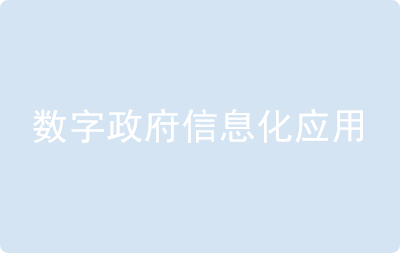 數(shù)字政府